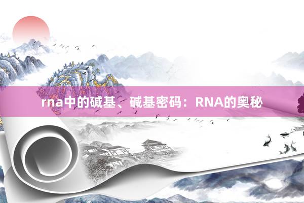 rna中的碱基、碱基密码：RNA的奥秘